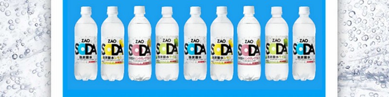 ���Y�_��500ml 48�{�wZAO �\�[�_�x���T�C�g